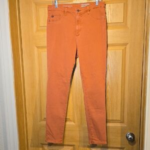 Anthropologie Terracotta Pants